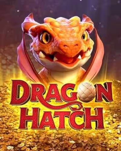 Bets login
